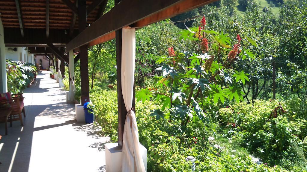 Pensiunea La Dolce Vita Băile Herculane Exterior foto